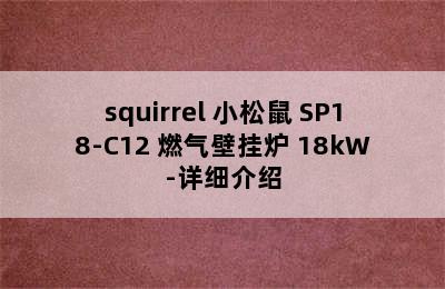 squirrel 小松鼠 SP18-C12 燃气壁挂炉 18kW-详细介绍